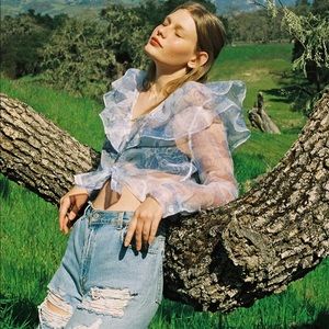 Laura Ashley x Urban outfitters organza top